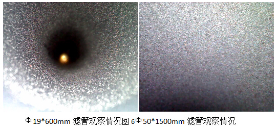 視頻內窺鏡檢測效果圖